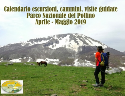 Calendario escursioni, cammini, visite guidate (Aprile – Maggio 2019)