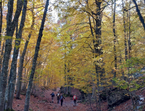Escursioni nel Parco Nazionale del Pollino: PROGRAMMA NOVEMBRE – DICEMBRE 2022 > GENNAIO 2023